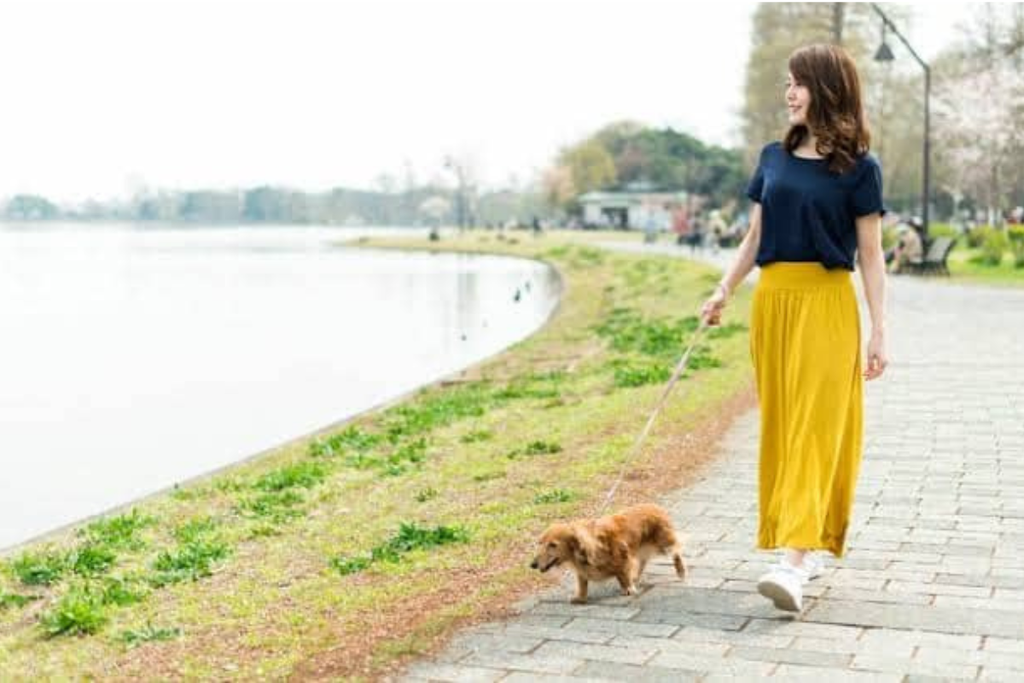 Take a Slow Walk With No Real Destination