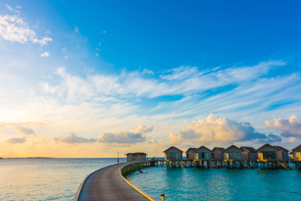  Maldives 